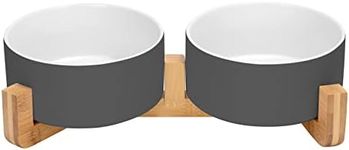 SPUNKYJUNKY Ceramic Dog and Cat Bow