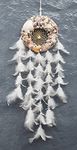 Yuvicreations, Round Shape, sea Shell Dream Catcher for Wall décor, Fine Quality Feathers. Natural Shells, White