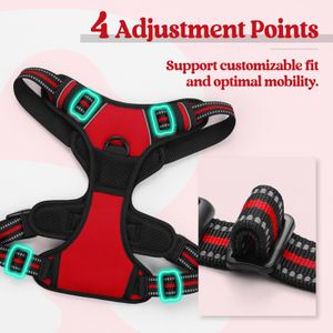 rabbitgoo Large Dog Harness – Adjustable No-Pull, Red