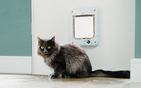 Cat Mate Microchip Cat Flap – White Pet Door
