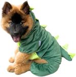 Funziez! T-Rex Dog Dinosaur Design 