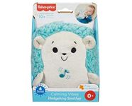 Calming Vibes Hedgehog Soother, Silicone