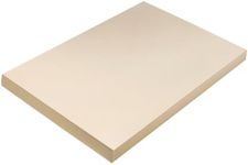 School Smart Tagboard - 12 x 18 inc