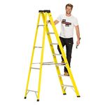 10 Ft A Frame Ladder