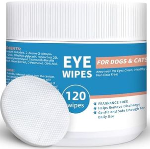 Dog Eye Wi