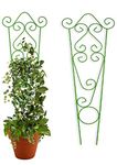 Jabox 24 Inches Super Long and Strong Trellis, Plant Support, Plant Suporters for Climbing Vines and Plants, Rust Resistance, Strong Metal, Green [68.5 X 24 CM] (Green-Pack-2, Metal-24 Inch)