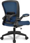 FelixKing Office Chair, Ergonomic D