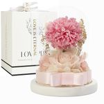 LOVAPPY Flowers for delivery Prime: Preserved Rose and Carnation in Glass Dome - Romantic Home Decor and Gift - Fresh Bouquet, Forever Flowers, Ideal for Birthday