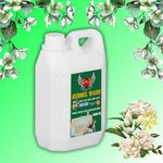 Kennel wash | tickzoff | to Disinfect House | to removes Bad Odor in House Caused by Pets (Jasmine, 1000ml)