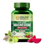 Himalayan Organics Plant Based Magnesium Supplement 1360mg With Turmeric Spirulina, Wheatgrass, Moringa | Supports Bone Muscle & Bone Health | Boost Energy Level - 60 Veg Tablets