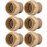 SharkBite 1 Inch Push Cap, Pack of 6, Push to Connect Brass Plumbing Fitting, PEX Pipe, Copper, CPVC, PE-RT, HDPE, U520LF