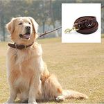 Petlicious & More® Genuine Leather Dog Leash Show Leash for Dogs (Brown, 10 ft)