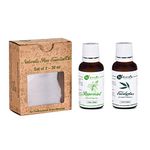 Naturalis Breathe Easy Essential Oil Set of 2-30ml (Peppermint Oil, Eucalyptus Oil)