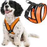 Gooby Comfort X Head in Harness - O