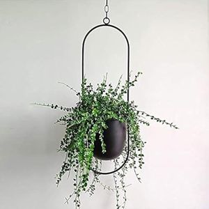 Funtabee Black Modern Hanging Planters, Contemporary Metal Planters, Indoor Hanging Flower Pots (Black, Oval x1)