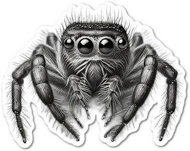 3" Black a