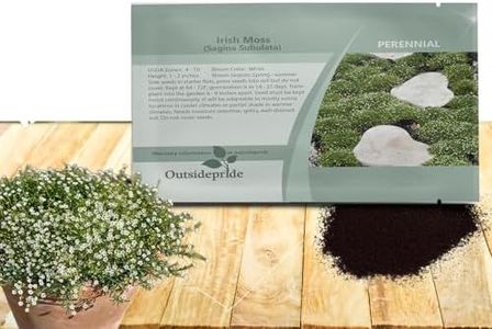 Outsidepride Irish Moss Ground Cover Seeds - 5000 Pcs Perennial Low Growing, Mat-Forming Lawn Alternative, Outdoor Ground Cover Seeds with Shade Tolerance, Ideal for Pathways and Rock Gardens