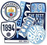 Desert Cactus Manchester City Stickers Man City MCFC Sheet Vinyl Football Soccer Premier League Decal Laptop Water Bottle Car Scrapbook 11.42x8.86 Sheet (Type 2)