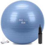 Everlast Anti-Burst Weighted Stability Ball 65CM