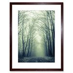 Wee Blue Coo NATURE PHOTO FOREST TREES WINTER TRACK FRAMED ART PRINT POSTER F97X11977