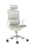 Aeron Mesh Chair