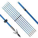 Tiger Archery 34inch Bowfishing Arrows Solid Fiberglass Shaft with Broadhead for Compound Bow and Recurve Bow Fishing Arrow Archery and Hunting (Pack of 6) (Blue)