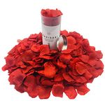 (Separated, Scented) WAKISAKI Artificial Silk Rose Petals for Romantic Night, Wedding, Event, Party, Decoration, in Bulk (1000 Count, Dark Red)