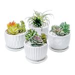 Nioslier 4 Pack Flower Pots, 10.6CM/4 Inch Ceramic Succulent Plant Pots with Connected Saucer, Planters with Drainage Hole for Cacti and Little Snake Plants, Home Decoration, No plants (Set of 4)