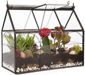 D'Eco Glass Greenhouse Plant Terrarium (10x4.5x9) - Indoor Tabletop Black Hinged Geometric Planter - Succulents, Air Plants, Moss, Fern - Home Garden Office Decor - Plant Lovers Gift (Terrarium Only)