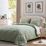 NexHome Lightweight Comforter Set K