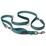 HALTI Anatomy Multifunctional Dog Lead – Shock Absorbing Double-Ended Lead, Ideal for Dog Walking & Training. Comfortable to Hold, Reflective & Lightweight. Suitable for Puppies (Size Large, Teal)