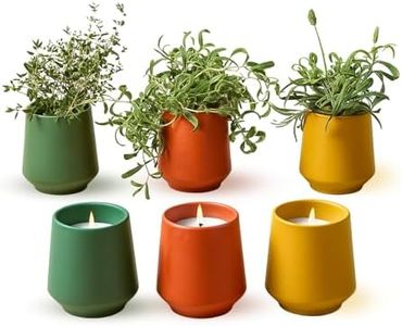 Modern Sprout - 2 in 1 Scented Candles with Seeds that Grows into Plants - 6 oz Soy Candle with 42 hr Burn time in Matte Glaze Ceramic Vessel - Rosemary, Thyme, & Lavender - Pack of 3
