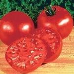 100 Big Boy Tomato Seeds