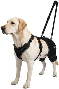 LISPOO Dog Hip Support Brace - Adjustable Dog Leg Brace for Hip Dysplasia/Arthritis/Pain Relief, Warm & Breathable Luxating Patella Stabilizer, Post-Surgery Recovery(Size XXL)