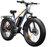 Electric Bike for Adults - Peak 100