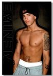 bribase shop Eminem Recovery Rap Nice Silk Fabric Cloth Wall Poster Print (20x13inch)