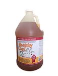 Healthy Coat 015HC-41728 Supplement Horse, 1 Gallon