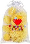 Real Sea Sponges for Babies - 6 Pk 