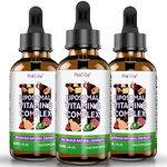 Liposomal Vitamin B Complex Liquid Drops - 60ml, High Potency B Vitamin Supplement for Energy Support & Nervous System Health (Pack of 3)