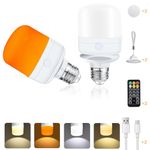 Joyes Light Bulb with Remote Control, USB-C E27, 7 W LED Battery Bulb, 4 Colour Temperatures, Dimmable Timing Function, Smart Rechargeable Bulb, Outdoor Camping Emergency Light with Removable Lamp