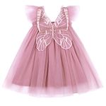 ROYLAMP Toddler Girls Tutu Dress Layered Tulle Baptism Wedding Flower Princess Dresses with Wings Pink 18-24 Months