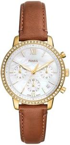 Fossil Wom