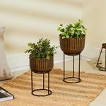 Amazon Brand - Solimo Metal Planter (Set of 2) | Sturdy Planter with Black Metal Stands | Lightweight (Antique Gold)