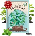 Seedboy Organic Mint Herb Seeds for Indoor Gardening or Planting Outdoors, Non-GMO and USDA Certified Herb Seed Packets, 250 Seeds/20 mg (Peppermint)