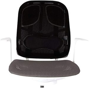 Fellowes - Mesh Professional Series - Respaldo Ergonómico de Rejilla - Cojín con Soporte Lumbar de Malla - Apoyo para la Espalda, Adaptable a Cualquier Silla. Ayuda a Mantener la Postura Correcta