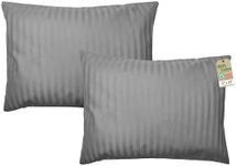 ZPECC Toddler Pillow with Pillowcase 2 Pack - 13x18 Organic Cotton Hypoallergenic Kids Pillow, Baby Essentials for Travel Crib Daycare Stroller (Intended for Age 2 and up) Grey Stripe