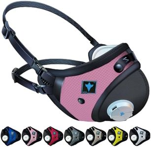 RZ Mask RZ