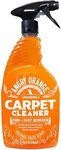 ANGRY ORANGE Carpet & Upholstery Cl