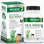 Renew Actives Sea Moss Capsules - Premium Triple-Action Antioxidant Blend with BioPerine for Ultimate Absorption - Organic Irish Sea Moss, Bladderwrack & Burdock Root - 60 Capsules