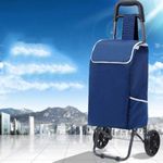 KRISHYAM Foldable Shopping Trolley Cart with Wheels and Removable Bag (2 Wheels+ 2 Side Pocket-Blue)